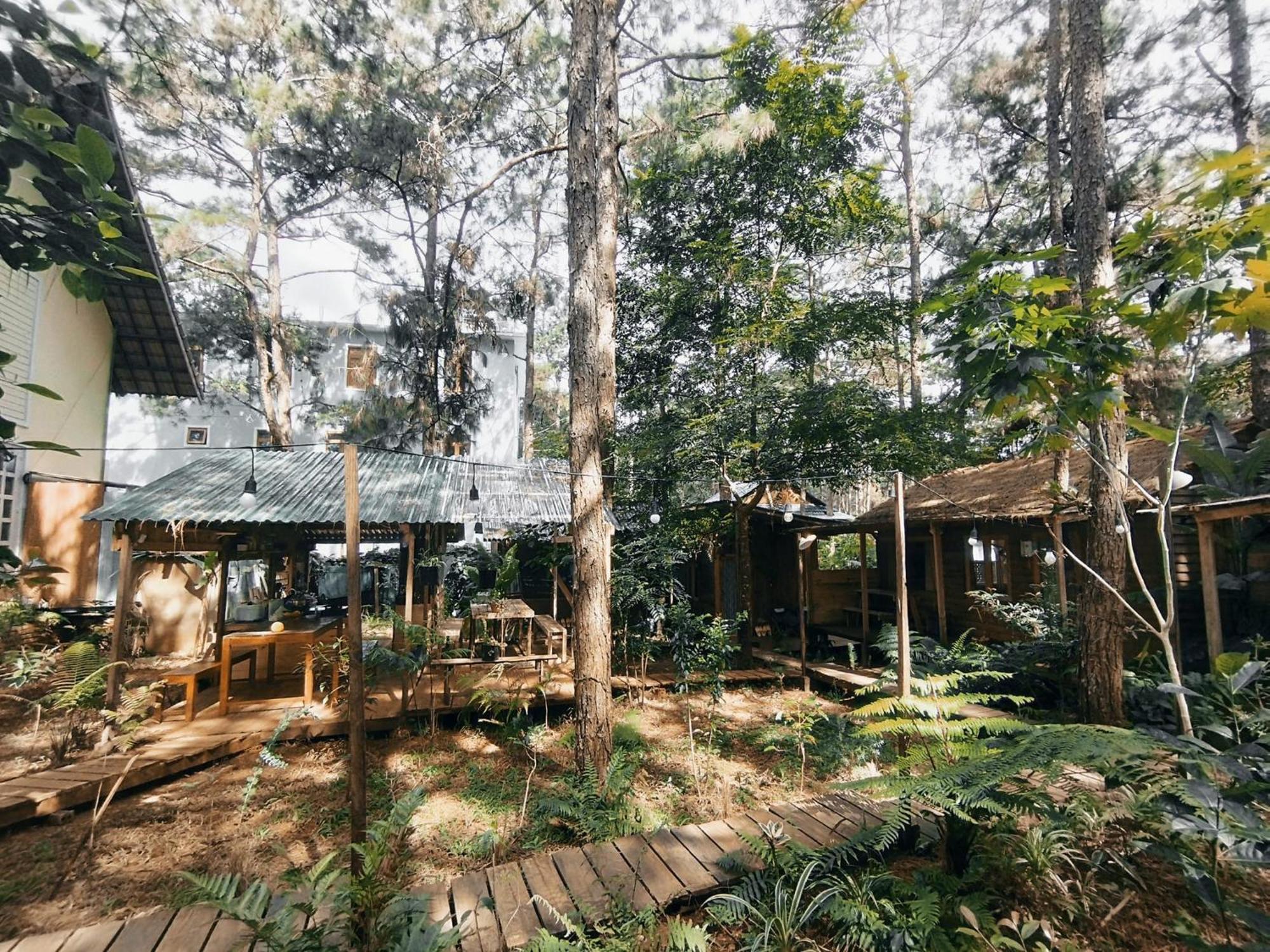 La Maison Homestay Mang Den Kon Tum Buitenkant foto