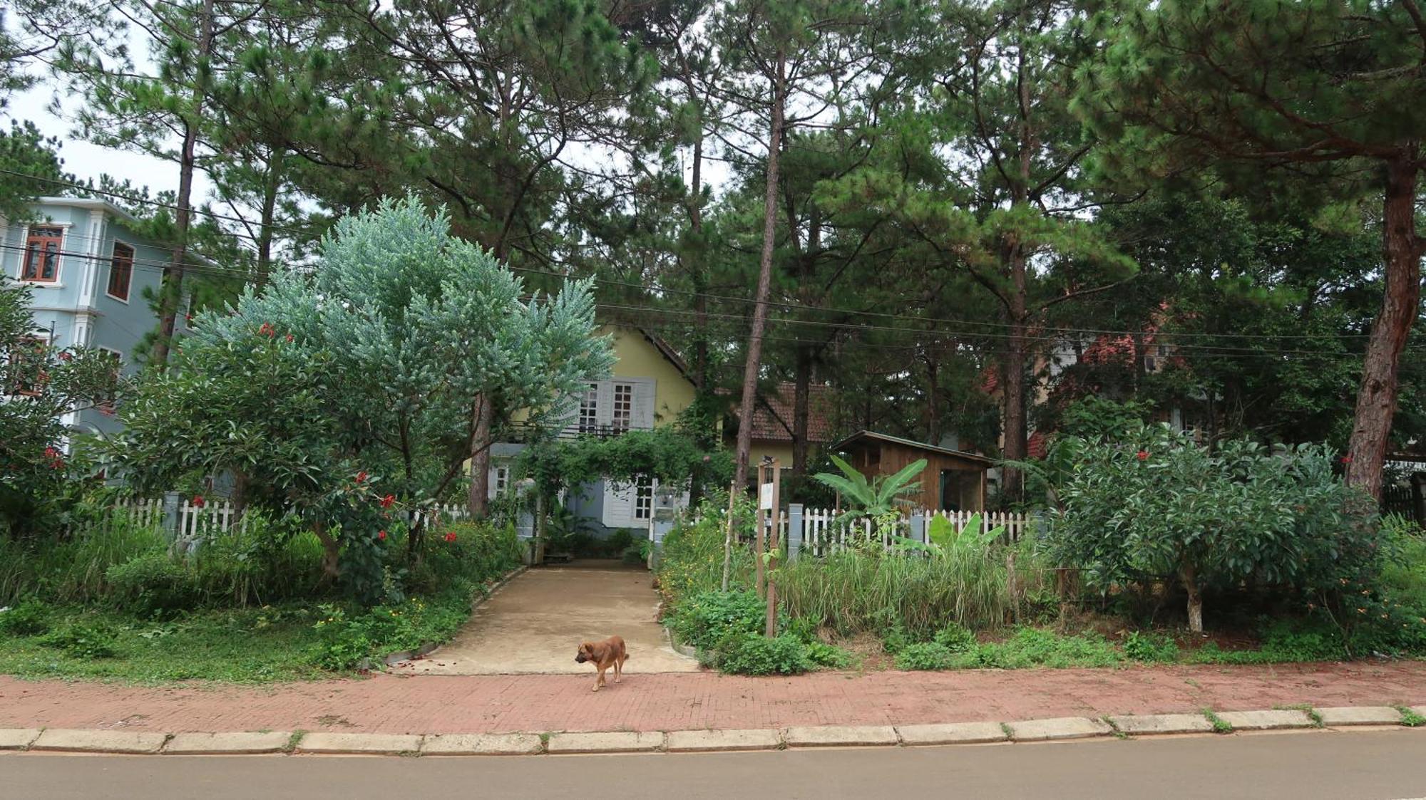 La Maison Homestay Mang Den Kon Tum Buitenkant foto