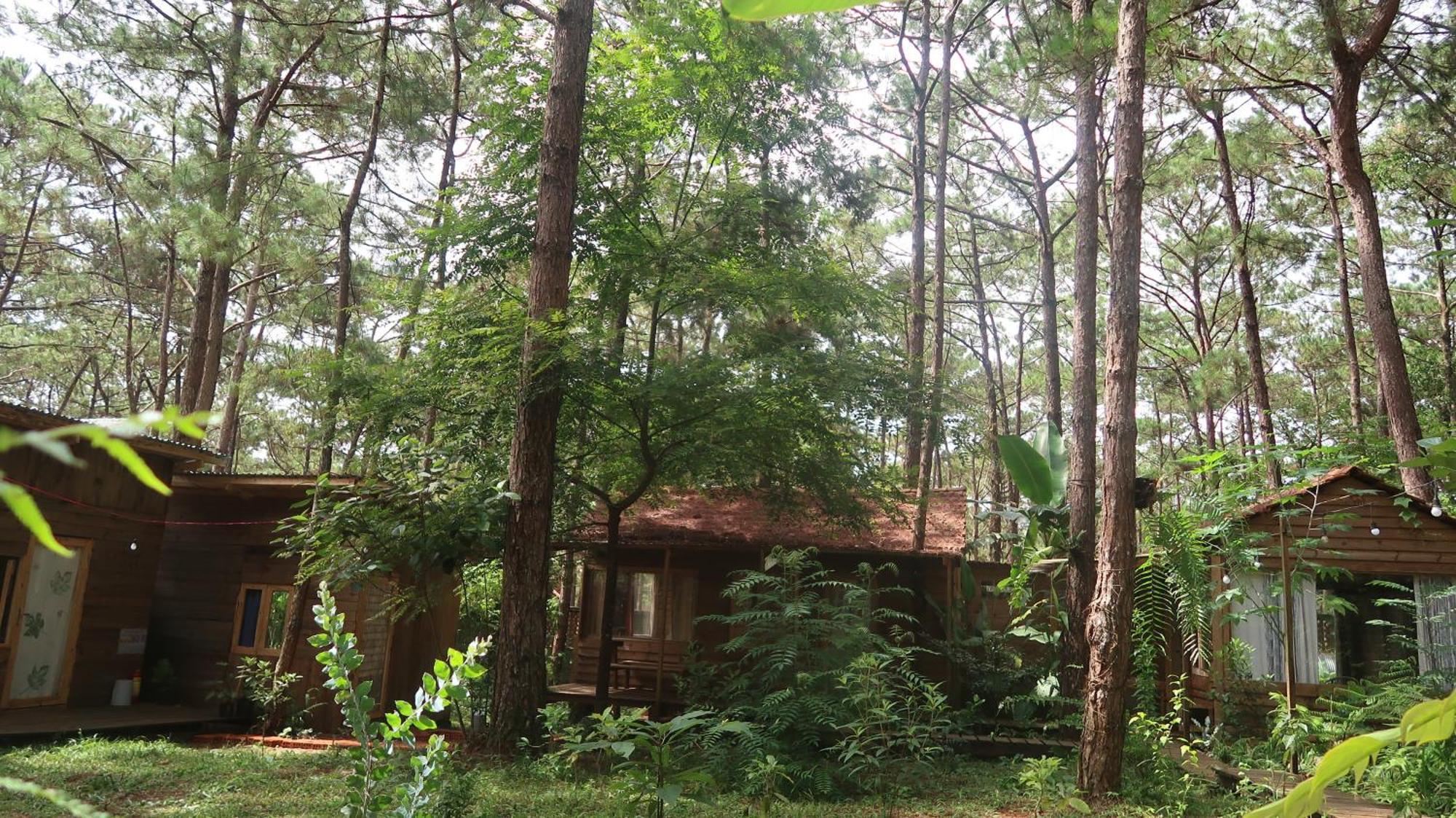 La Maison Homestay Mang Den Kon Tum Buitenkant foto