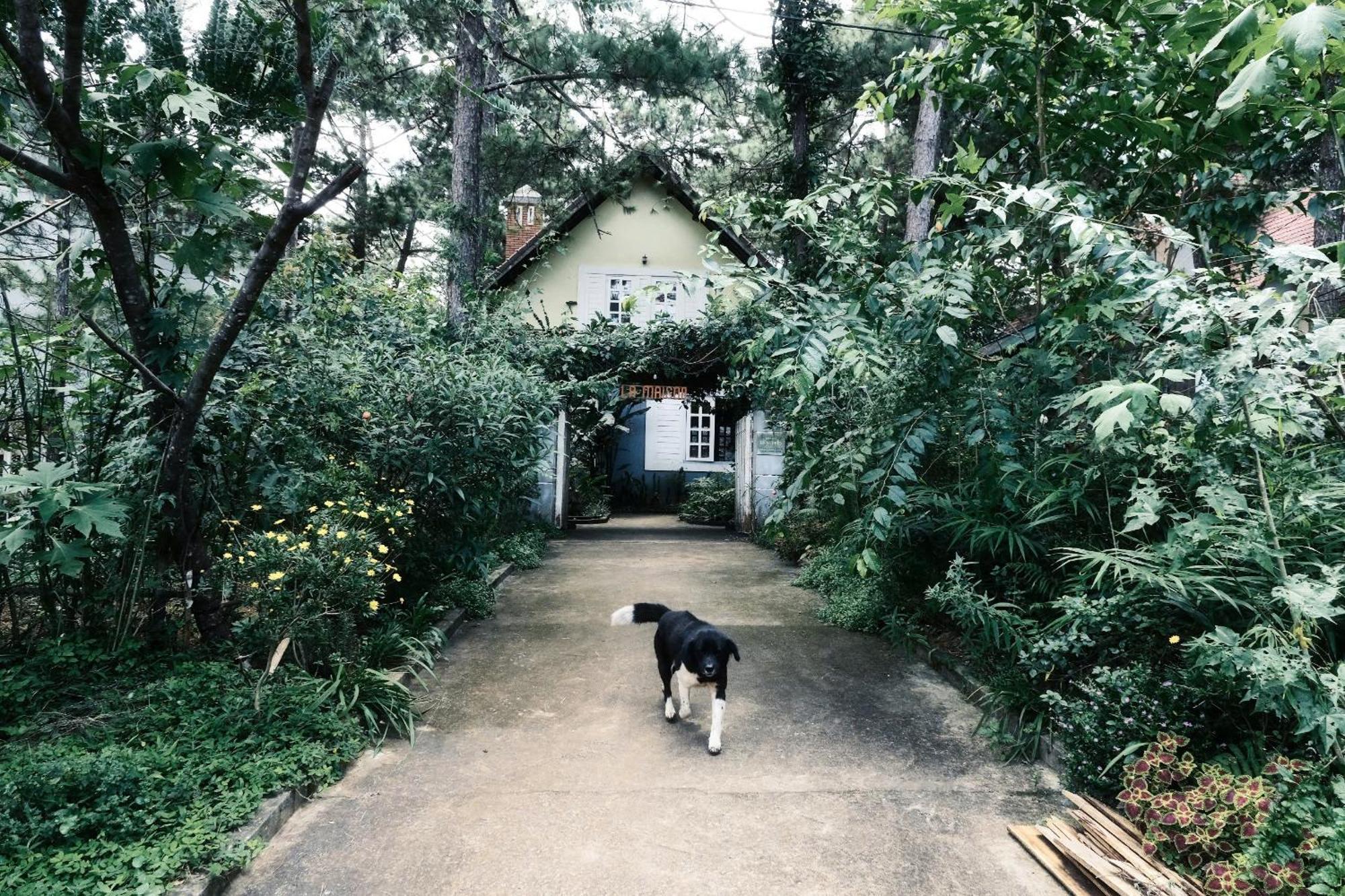 La Maison Homestay Mang Den Kon Tum Buitenkant foto